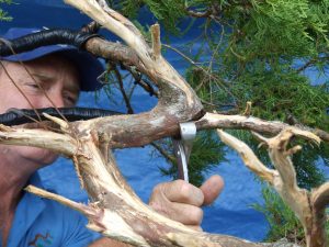 This branch had a previous split here, so it was easier to continue the split to aid in lowering the branch