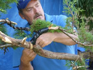 Strap it well to support the branch before bending