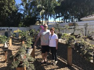 1st stop Caloundra and Bev Caldwell's trees. We started Bonsai together back in 1984