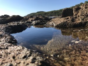 Coastal rock hop adventure.