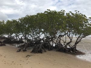 Inspiration from nature before heading off to Rockhampton