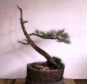 Photo 27 March 2011