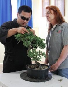 Helping to refine a good juniper