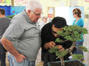 We need some detailed work on this old juniper to bring out its inner beauty.