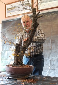 Tree 2 - trimming in progress