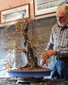 Tree 3 - discussing the work so far