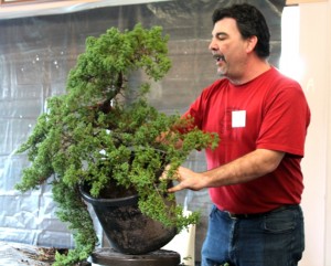 The tree before the demo started