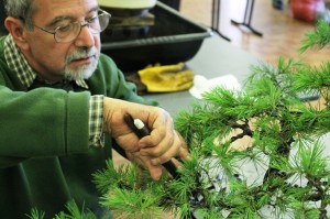 Bill setting the trees future