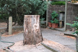 The stump
