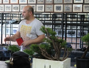 Clinton discussing a possible clump style bonsai