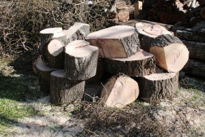 Soon to be fire wood