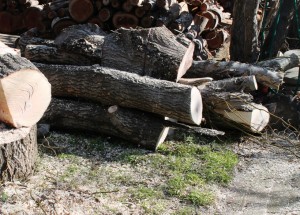 More fire wood
