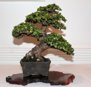 Jade