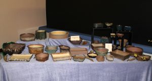 A few of Viv's pots that were for sale, but you needed to be quick!