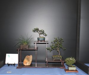 Shohin