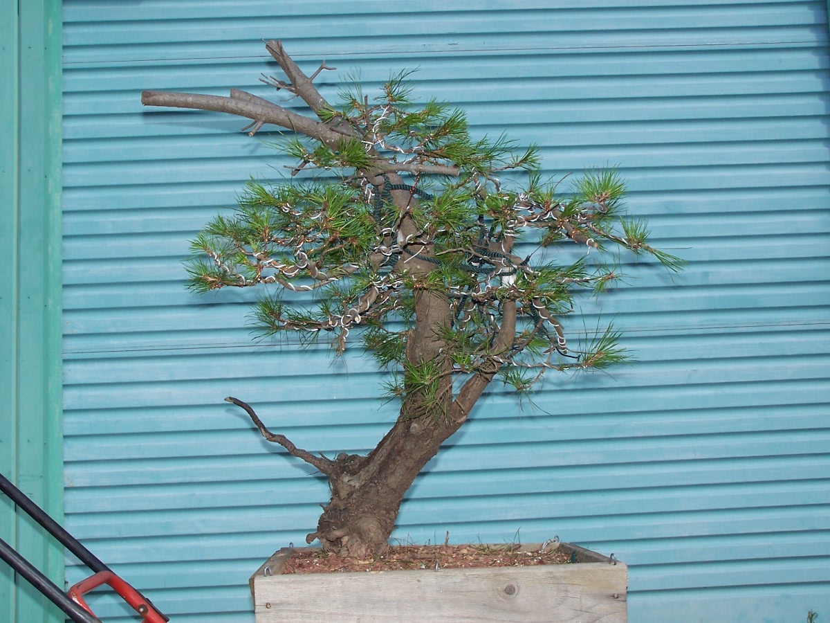 100_9241