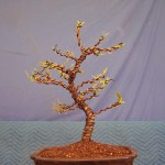 100_9335