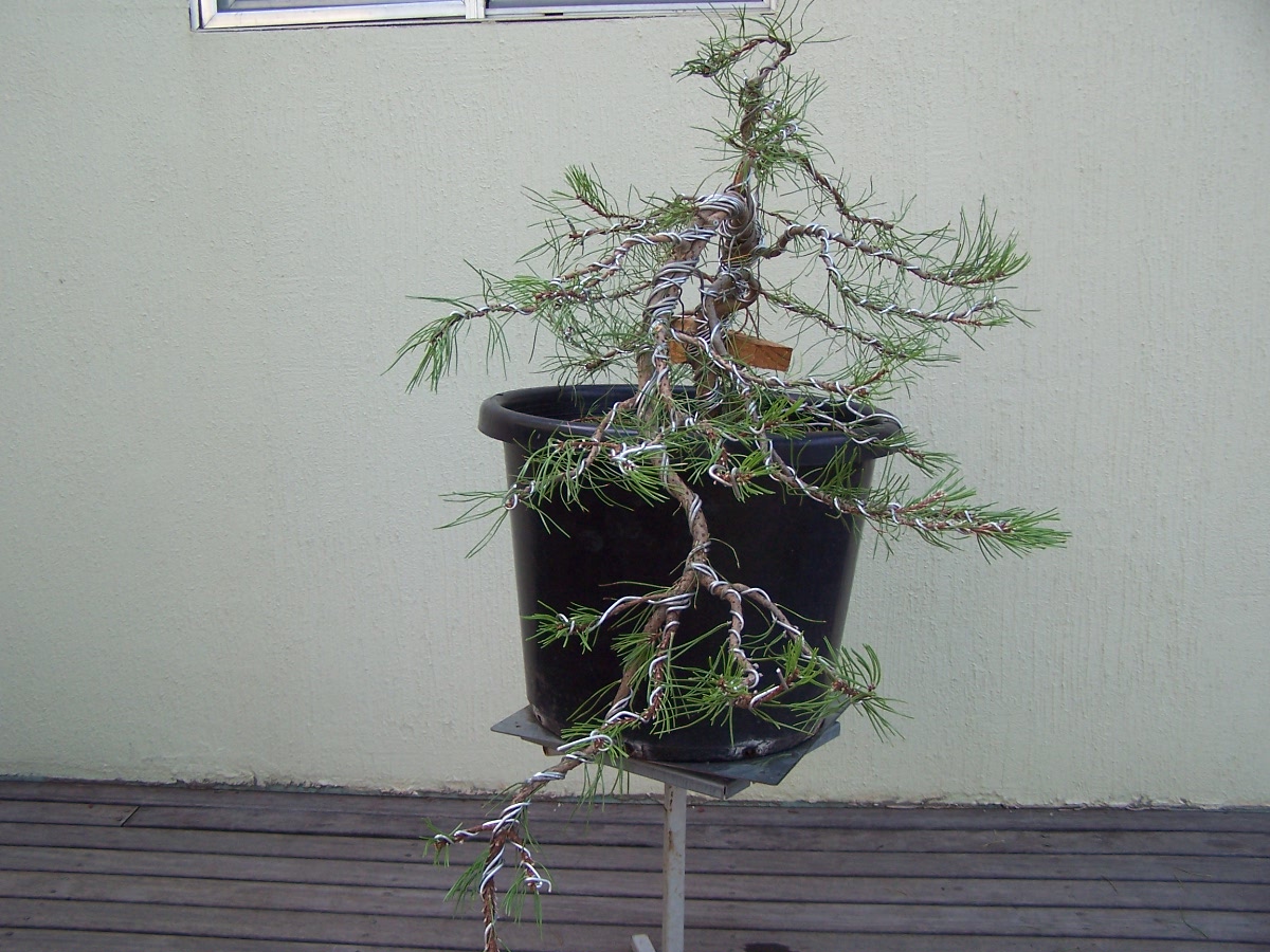 100_9421