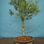 SANY0139