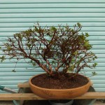 SANY0092