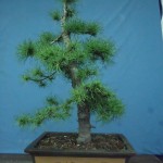 SANY0218