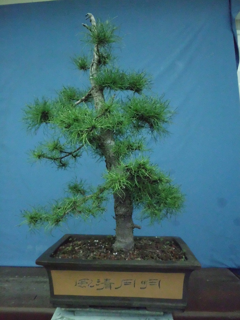 SANY0218