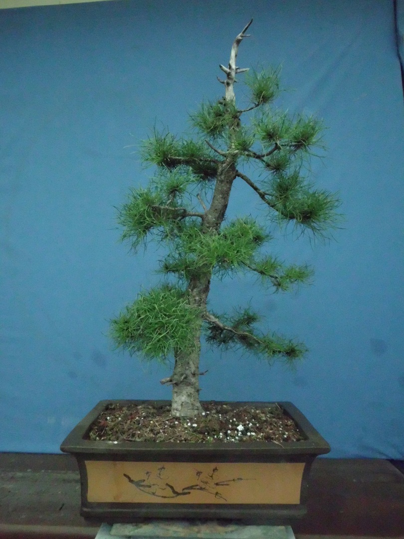 SANY0220