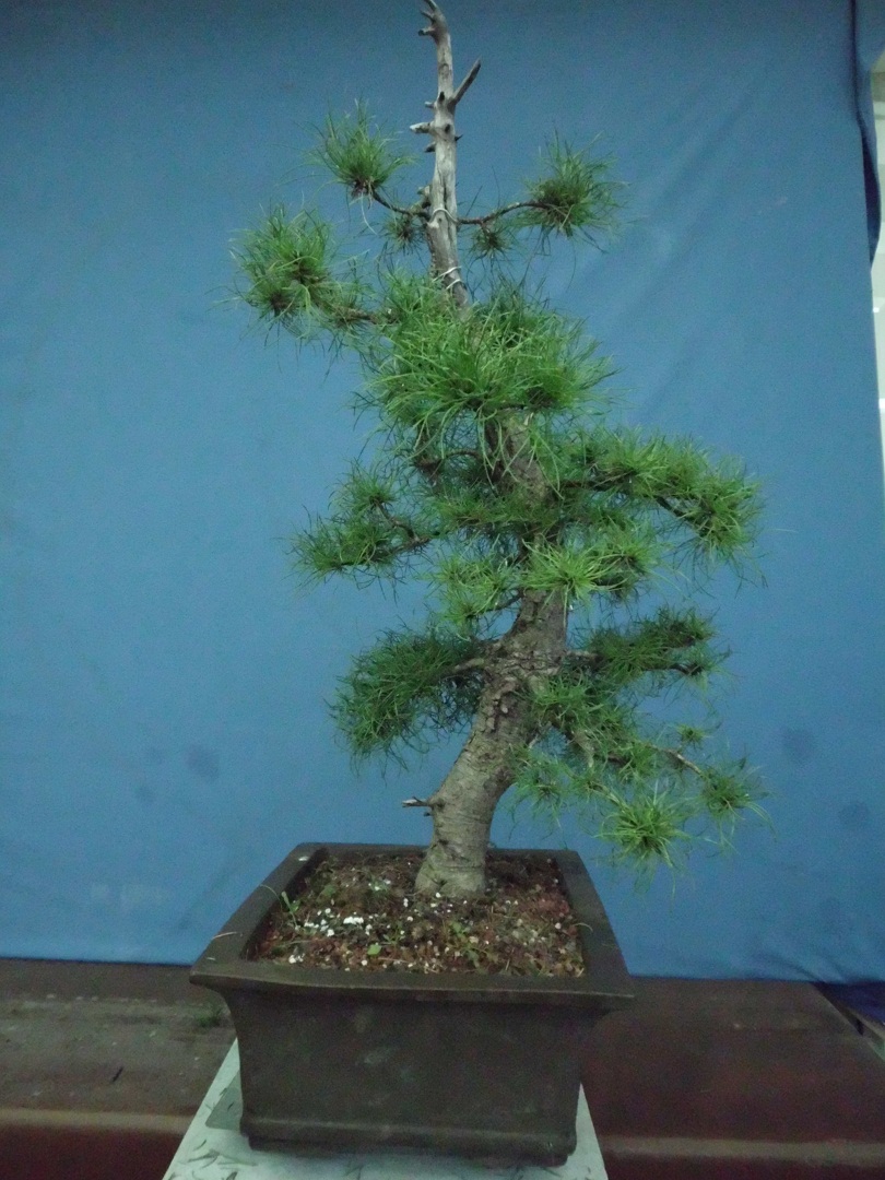 SANY0221