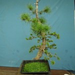 SANY0226