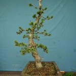 SANY0228