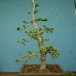 SANY0229