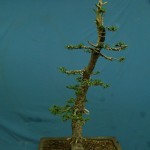 SANY0235