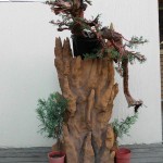 SANY0332