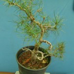 SANY0191