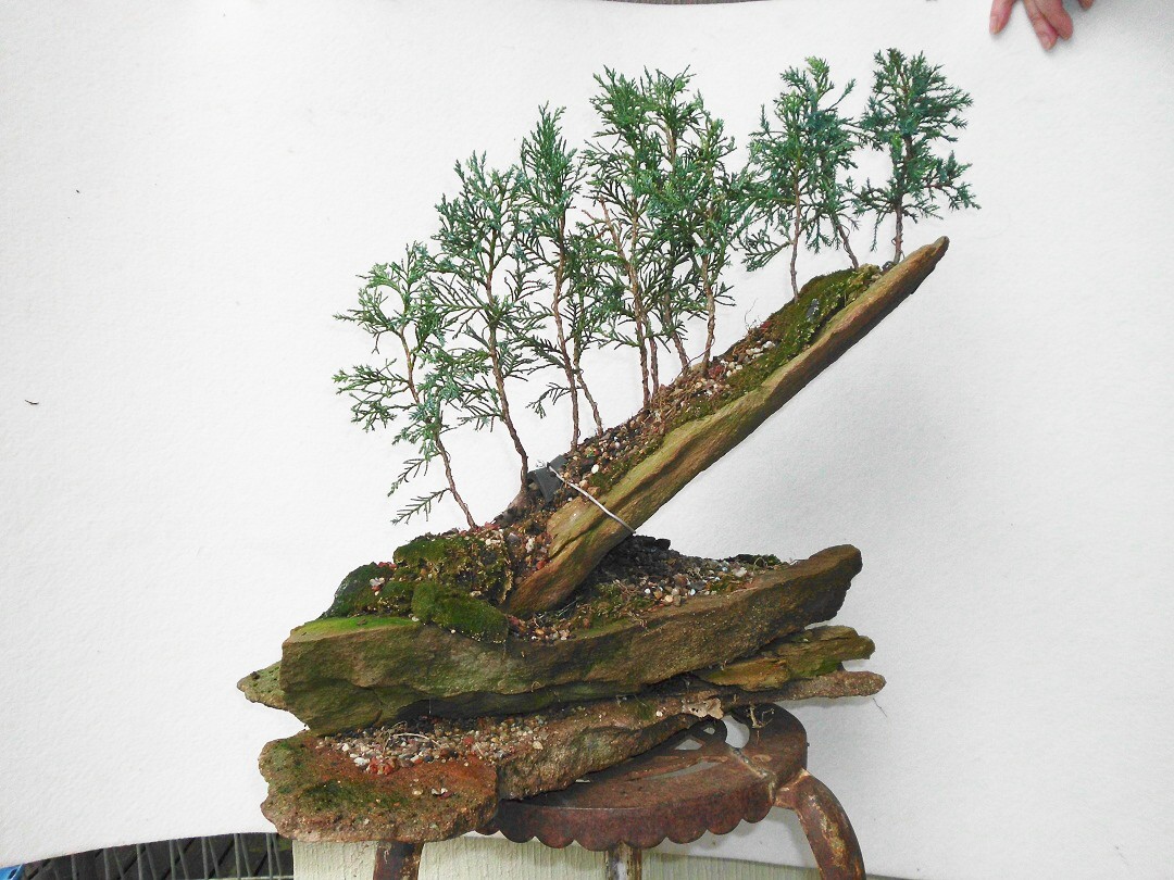 SANY0252