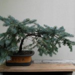 SANY0025