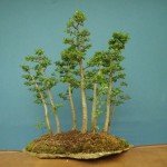 SANY0027