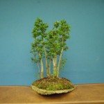 SANY0031