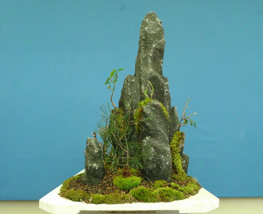 SANY0036