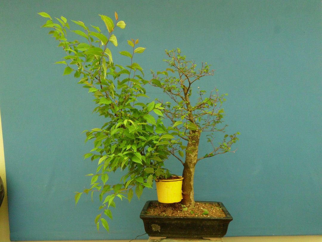 SANY0025