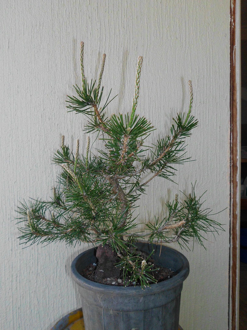 SANY0042