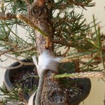 SANY0064
