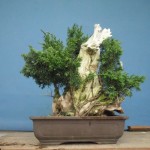 SANY0082