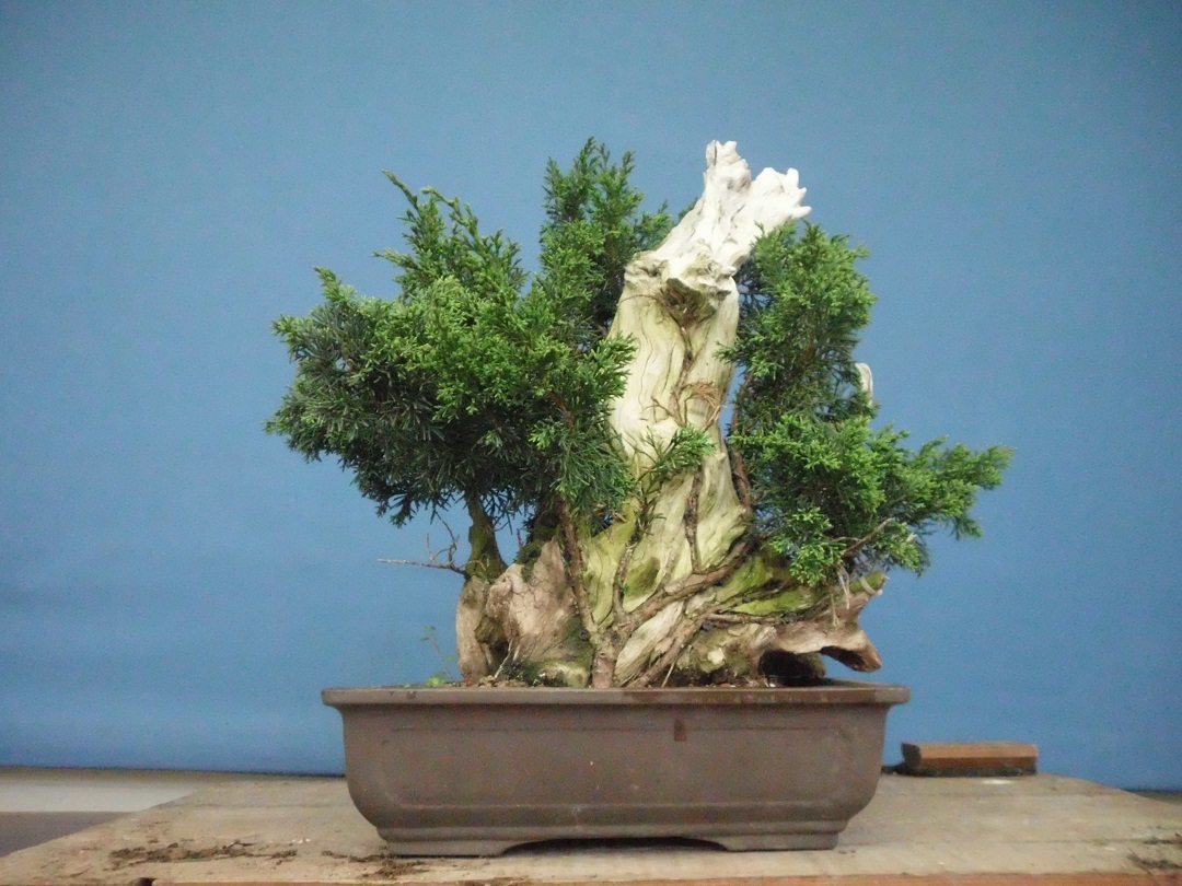 SANY0082