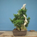 SANY0084