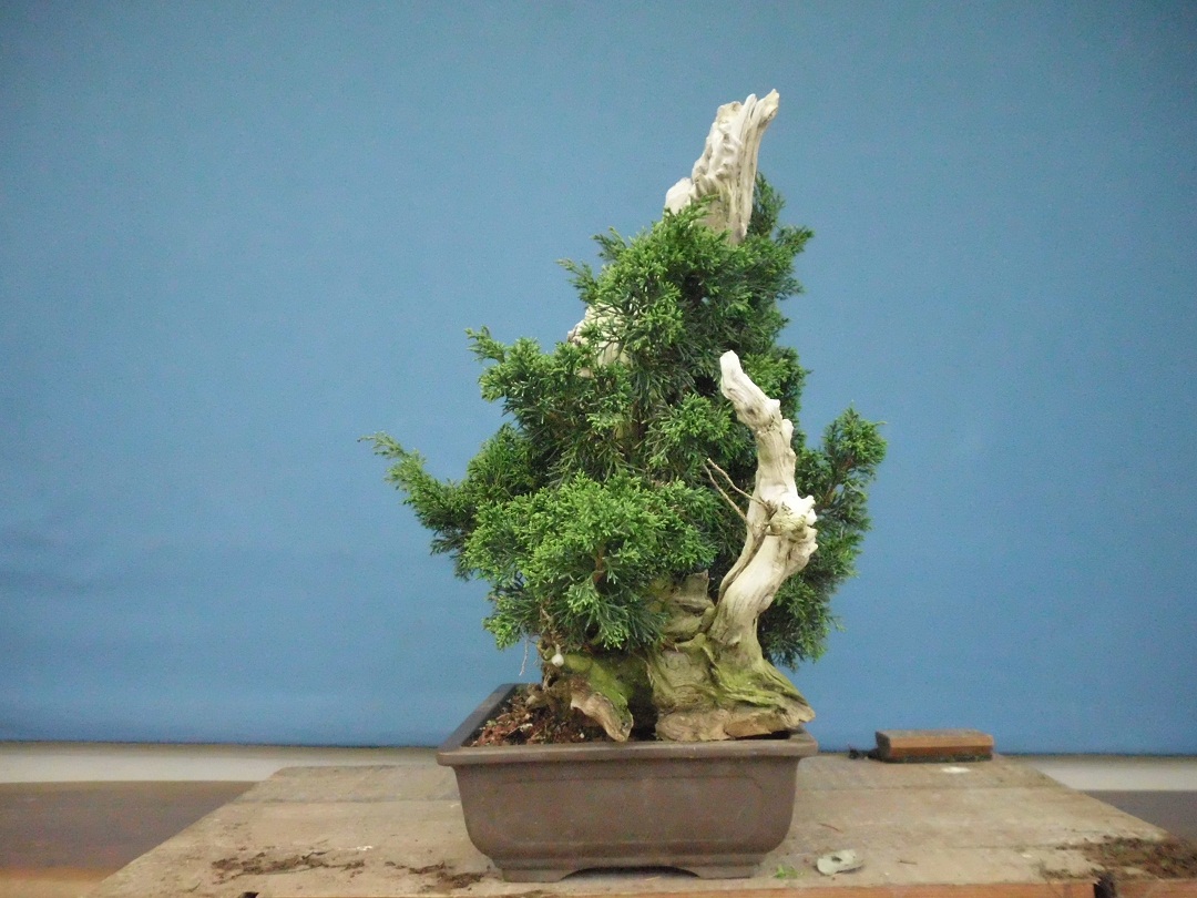 SANY0084