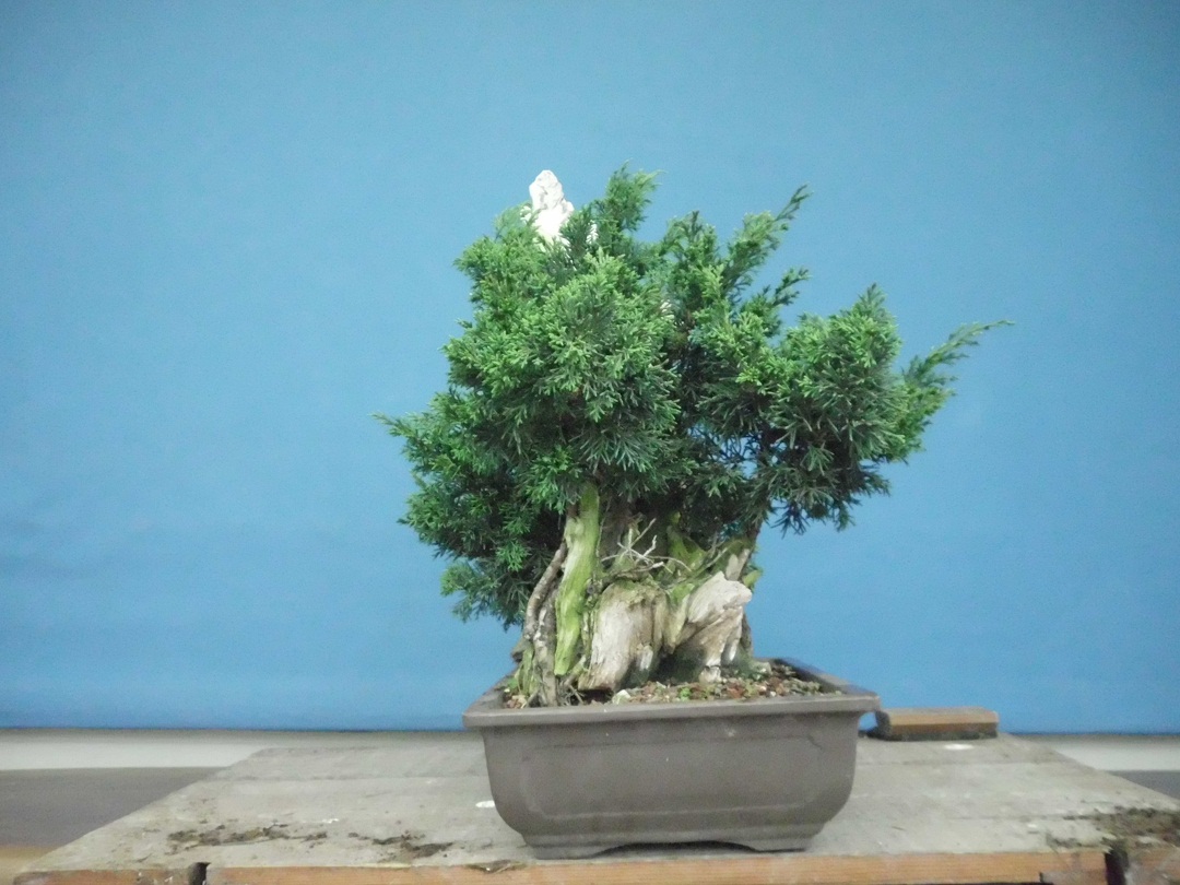 SANY0085