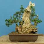 SANY0090