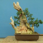 SANY0092