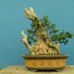 SANY0099